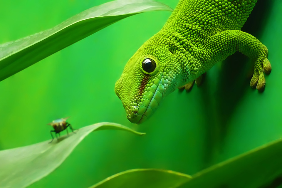 Is Live Food the Best Solution for Your Reptile Collection